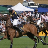 Photoscience - Polo and Wedding photographers in Hampshire Surrey and Sussex